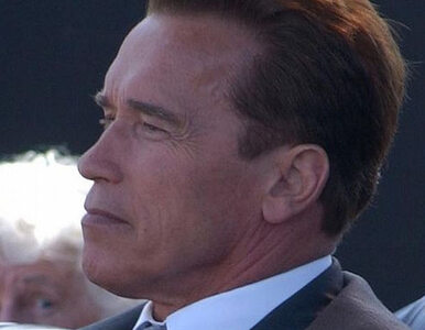 Miniatura: Schwarzenegger wraca jako podstarzały...