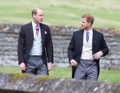 Miniatura: William i Harry zagrali w filmie? Wygadał...