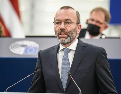 Miniatura: Manfred Weber odpowiedział polskiemu...