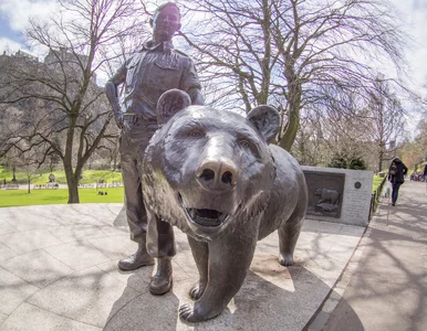 Miniatura: Niedźwiedź Wojtek z armii Andersa doczeka...