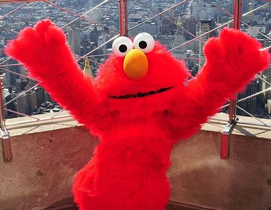 Miniatura: Elmo oskarżony o pedofilię