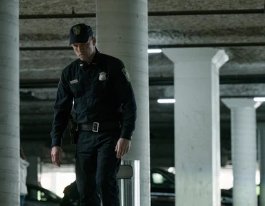 Miniatura: Netflix pobił rekord zarobków. Te filmy i...