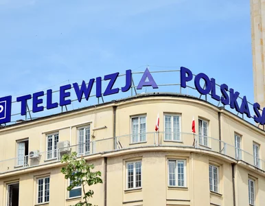 Miniatura: TVP planuje utworzyć własny kanał...