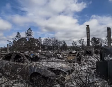 Miniatura: Nowości od HBO na lipiec. Czeka nas kilka...