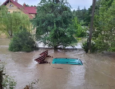 Miniatura: Uczestnik programu TVP ucierpiał przez...