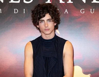 Miniatura: Timothée Chalamet na pierwszym zdjęciu z...