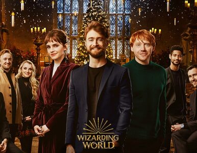 Miniatura: Harry, Ron i Hermiona i pozostali...