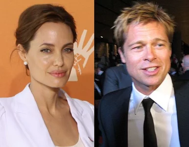 Miniatura: Brad Pitt i Angelina Jolie staną na...