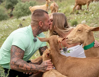 Miniatura: „Love Island. Wyspa miłości”. Romantyczna...